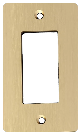Buster + Punch 1G wall plate in Brass (NPL-053578)