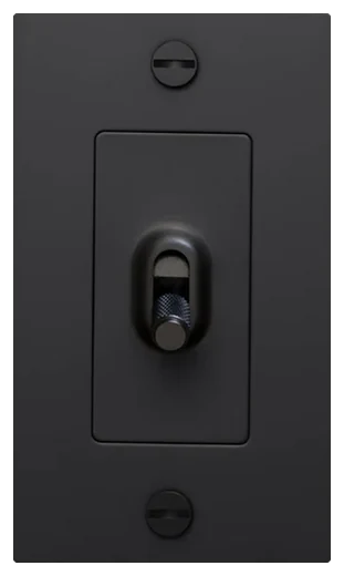 Buster + Punch 1G toggle switch in Black (NTG-023816)