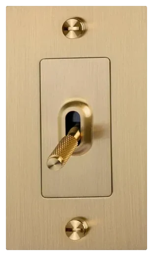 Buster + Punch 1G toggle switch in Brass (NTG-053817)