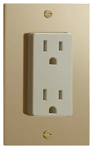 Forbes & Lomax duplex outlet plate in Unlacquered Brass