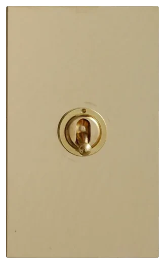 Forbes & Lomax toggle switch in Unlacquered Brass (15931)