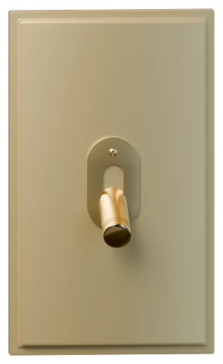 Rejuvenation Classic toggle switch with solid brass plate in Aged Brass (1134741)